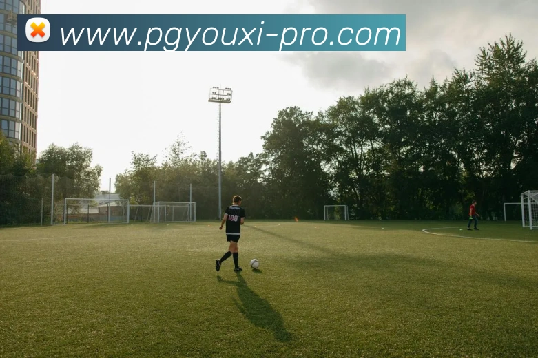 pg游戏(PG GAMES)官方授权数字信息中心发展历程